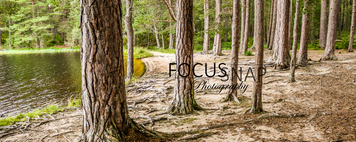 Focus Snap Photography